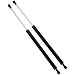 Dayincar Scion Tc Hatch Trunk Gas Shocks Rear Window Hatch Lift Supports 2005 2006 2007 2008 Set of 2
