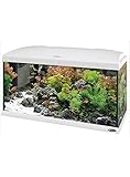 acquario ferplast cayman 110  Ferplast Acquario Capri 50 Bianco 40 Litri