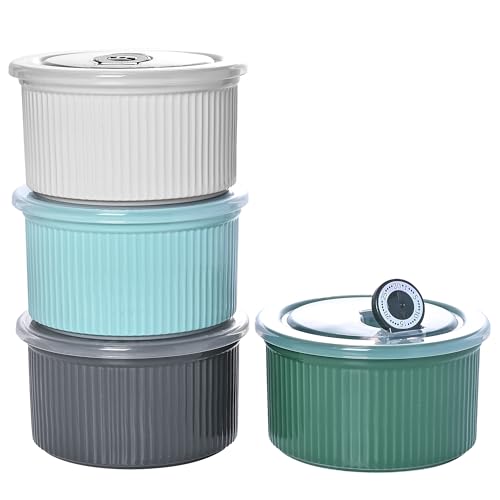 20 oz Ceramic Bowls with Lids, Airtight Food Storage Containers, Microwave Safe Soup Salad Cereal Bowls, Oven Safe Ceramic Meal Prep Bowls for Leftovers, Office Lunch, Picnic, Camping, Set of 4