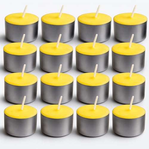 R Wellness® Ghee Diya for Puja | Akhand …