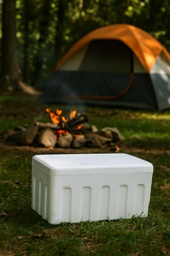 Image of 10 Litre Insulated Ice Box for Food, Medicine, Vaccines, Beverages | Hot & Cold Storage Container | Polypropylene Chiller Box for Travel, Camping, Office, Outdoor Use