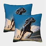 VMPLOKIJH Carreras de Caballos Fundas Cojines Antialérgicas 2 Piezas Funda De Almohada Diseño 3D 45x45cm