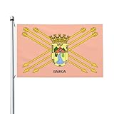 Flag Of Bairoa (Caguas, Puerto Rico) Flag 3x5 Ft Polyester Outdoor Garden Decoration Holiday Party Banner 2 Brass Grommets