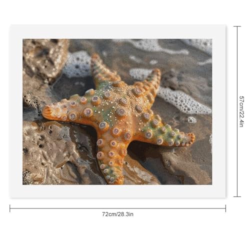 Kit de pintura por números adultos principiantes lienzo digital óleo decoración hogar estrellas 2
