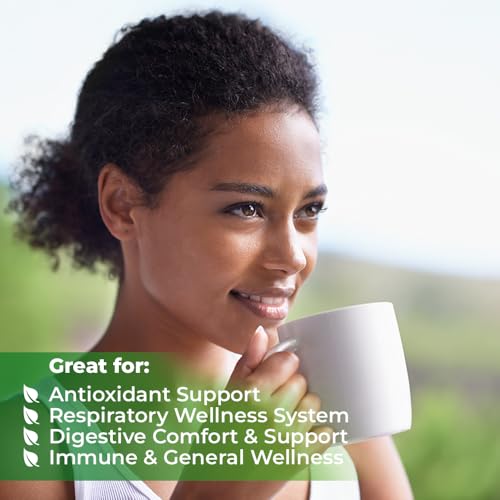 Image of 4 oz. Angelica Root Bulk Herb Herbal Tea (Angelica Archangelica) - 113g Herb Tea