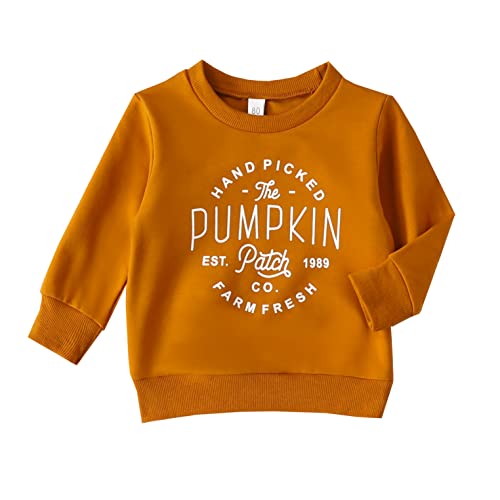 Image of Baby Boy Girl Pumpkin Sweatshirt Tops Toddler Halloween Outfit Long Sleeve Crewneck Pullover Sweater Shirt Fall Clothes