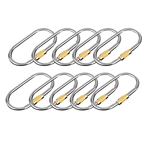 Begchy 10 Mosquetones de Titanio con Hebilla para Exteriores con Cerradura, Mosquetones PequeñOs y Ligeros para Mochila de Interior y Exterior, Estilo 2