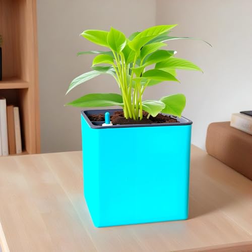 Image of Indian Discovery Self Watering Tabletop Planter| Flower Pots for Home, Terrace, Balcony, Vertical Garden Decor Flower Pots(1 PC, Peacock Green, Square) |6 Inch UV-Resistant Plastic Plant Pots
