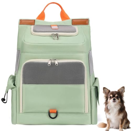 Lifetips`iChihuahuajybgbN L[ ʋCbV J[et y ˃e[v яoh~ h  @\ bN^ybgL[ ^ ^ L s ʉ@ ] d [|Pbgt ܂肽 g