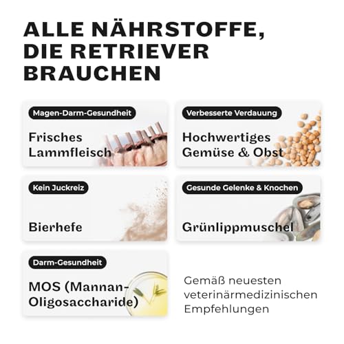 HEY HOLY Premium Nassfutter für Retriever | 18x 400g Hundefutter für ausgewachsene Retriever mit Lamm | Hochverträglich aus natürlichen Zutaten