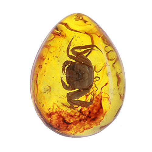 DINGWEN Fossil Insect, muestra en calidad de museo, ámbar artificial, mariposas naturales de corpión, colgante (Crab)