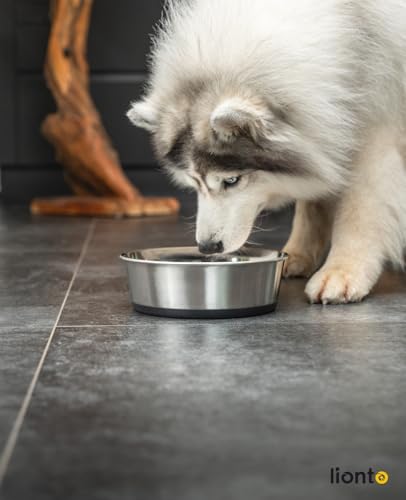 lionto Futternapf aus Edelstahl, 2700 ml, lebensmittelechter Hundenapf mit rutschfestem Silikonboden, rostfreier Wassernapf für Hunde und Katzen, spülmaschinenfest