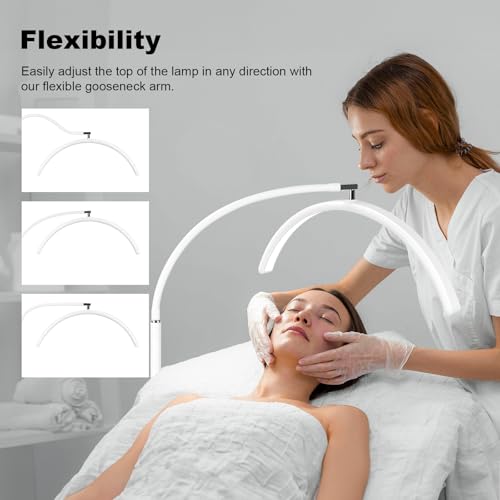 Image of Half Moon LED Floor Light - Professional Shadow-Free Lamp for Lash Techs, Estheticians & Tattoo Artists | Remote Control & Dimmable for Eyelash Extensions, Nail Art, Home & Office