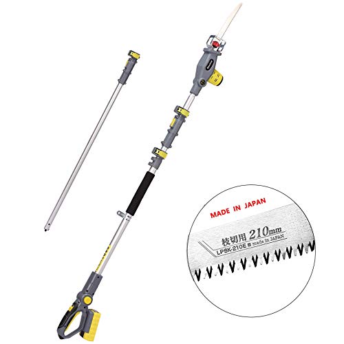 Preisvergleich Produktbild FANZTOOL Teleskop Hochentaster Säbelsäge mit kräftigem Akku und 210mm langem Hochleistungs-Sägeblatt