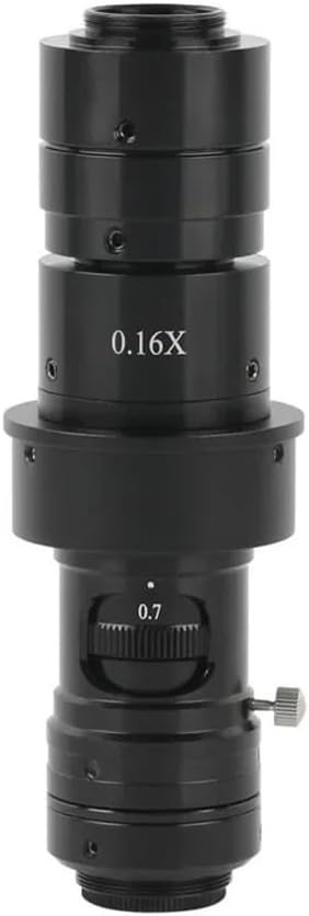 三ツ持啓(金井啓)さんのお花柄プレート2枚 三ツ持 三ツ持啓(金井啓)さんのお花柄プレート2枚 三ツ持