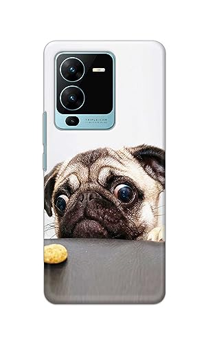 Image of PRINTFIDAA� Printed Hard Back Cover Case for Vivo V25 Pro 5G Back Cover (Pug Dog) -2808