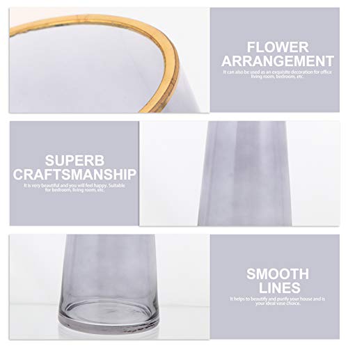 Healifty 2Pcs Glass Bud Vase Table Glass Vase Flower Jug Flower Planter Tall Floral Glass Plant #TOP2