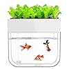 Hydroponic Garden Aquaponic Fish Tank Plants Growing System Self-Cleaning Seed Sprouter Tray #5