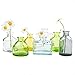CHIVE ‘Loft’ Small Mini Flower Vases - Clear Glass Bud Vases, Set of 10 Color - Cute Vintage Rustic Centerpieces for Wedding, Events & Home - Premium Quality, Designed to Last