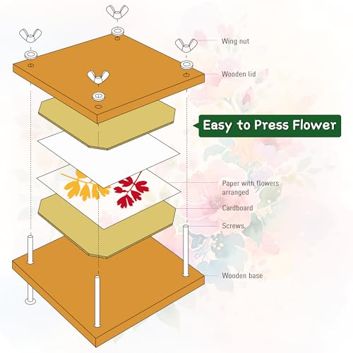 YUROZAC Wooden Flower Press Kit for Drying Flowers & Leaves | 11.8 x 8.3 Inch, DIY Nature Craft Flower Pressing for Kids Adults, Artists - image 4