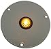 Peterson Manufacturing 176-12 2.5" Retrofit Adaptor Flange