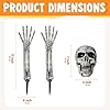 JOYIN 3 Pcs Halloween Skeleton Decorations Outdoor, Realistic Looking Skeleton Yard Stakes, Groundbreaker Skull Decor for Graveyard Yard Lawn Garden Party Supplies #3
