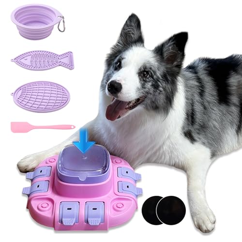 Dog Slow Feeder Puzzle with Treat Dispenser Bowl Design, 2 Levels...