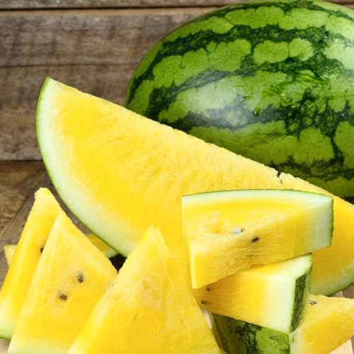 TomorrowSeeds - Yellow Crimson Watermelon Seeds - 20+ Count - for 2025 Planting Open-Pollinated Non-GMO Heirloom USA Garden Fruit Sweet Tropical Exotic Water Melon Grow Your Own Home Farm Patio