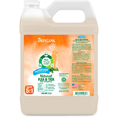 TropiClean Natural* Flea & Tick Soothing Shampoo for Dogs, 1 gal - Kills Fleas, Ticks, Larva, Eggs by Contact â€” Soap-Free Treatment for Pest Prevention â€” Made with Essential Oils â€” Made in the USA
