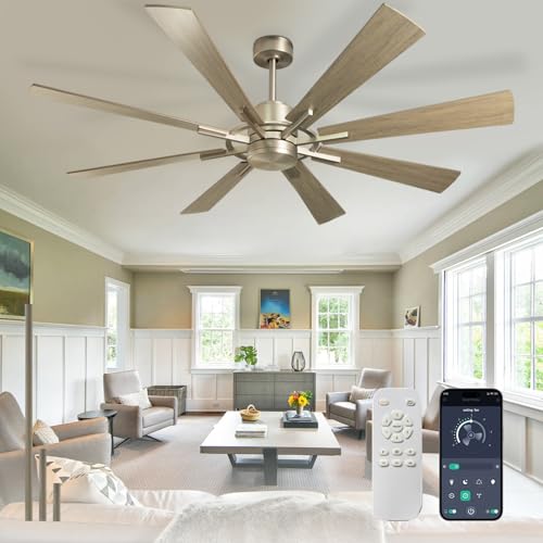 Depuley Ventilador de techo 152 cm sin luz: Ventilador de techo silencioso con mando a distancia y aplicación para terraza jardín - Ventilador de techo grande reversible DC temporizador