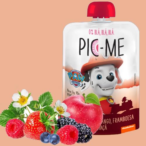 Kit Misto 24und de Purê de Frutas Patrulha Canina 90g