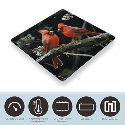 Báscula Digital de Cuerpo Cardinals Birds Fauna Wild miniatura 3