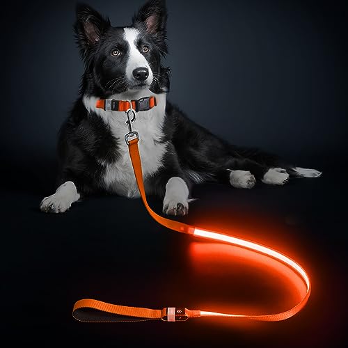 LED Hundeleine, Leuchtend Hundeleine für Kleine, Mittel Große Hunde, Wiederaufladbar & Wasserdicht, 3 Beleuchtungsmodi 5 Farben Erhältlich, Glühen im Dunkeln für Sicherheit Nachtwandern (Orange)