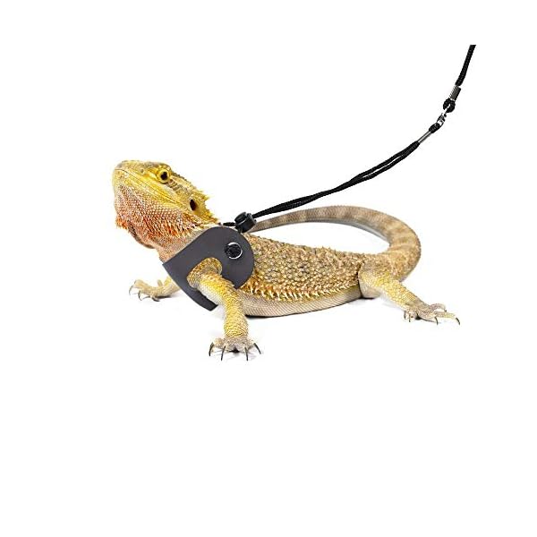 Polkastore bearded dragon harness and leash adjustable(s,m,l, 3 pack) - soft leather reptile lizard leash for amphibians and other small pet animals - image 7