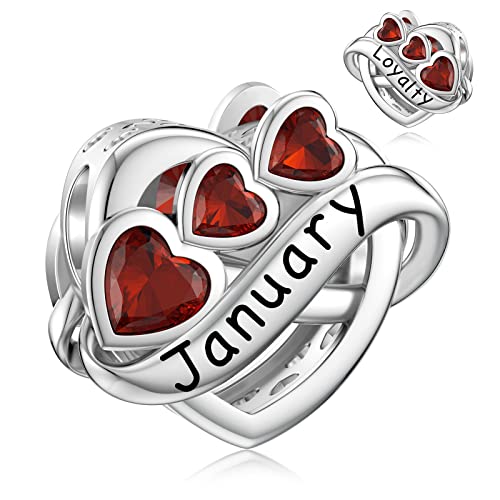 Jiayiqi January Birthstone Charm For Pandora Charms Bracelet, 925 Sterling Silver Heart Bead Endless Love Charms Engraved Loyalty, Happy Birthday Charms For Bracelet And Necklace #TOP15