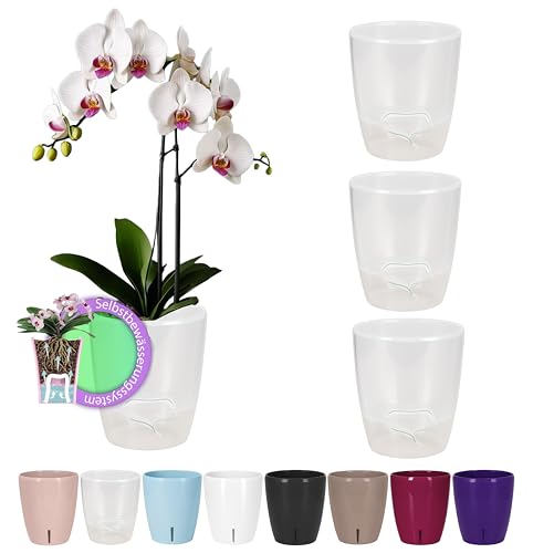 Santino 4er-Set Orchideentopf D 12cm Selbstbewässernder Topf mit Dochtsystem und Wasserstandsanzeige für den Innenbereich - TRANSPARENT - 1,3L