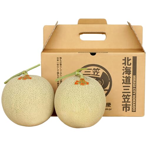 [2026年分受付中]大玉!とろける食感の北海道三笠メロン2玉入(3.2kg以上)