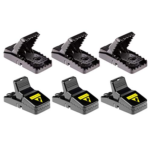 Famiry Mouse Trap, Best Small Mouse Traps That Work, Mice Traps Snap