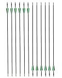 GPP Archery Beginner's First Arrows (30' Fiberglass Target Archery Arrows) - 12 Pack,Green