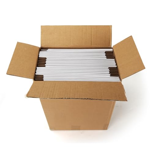 Image of HORLIMER 12x9x1 inches Shipping Boxes Set of 25, White Corrugated Cardboard Box Literature Mailer