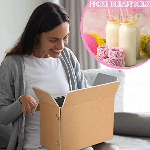 Image of Insulated Shipping Box Cold Double Insulated Carton with Foil Foam Cooler Boxes Delivery Moving Kits Foam Shipping Containers for Mailing Packing, Box Inside 8.7'' x 4.5''x 6.1''(6 Pcs)