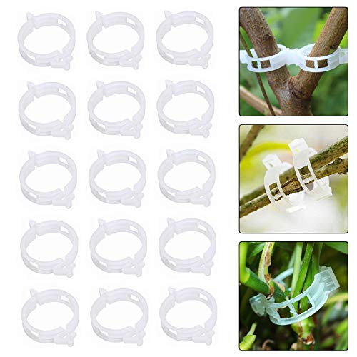 Pflanzenclips 60-tlg. - Kletterpflanzen Befestigung Weiß & Grün