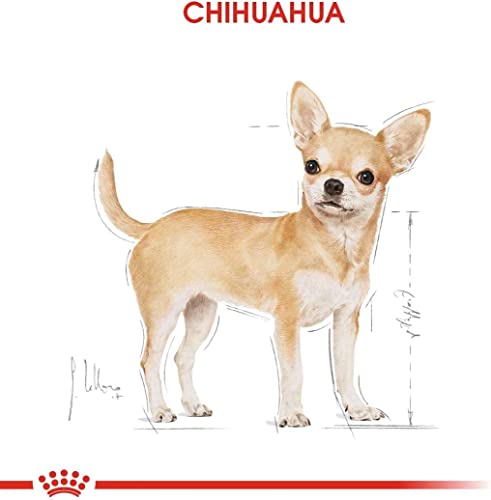 Royal Canin Breed Health Nutrition Chihuahua Adult 12x85g