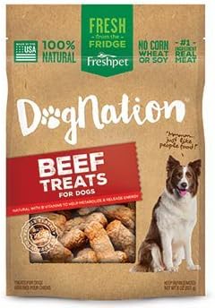 dognation treats