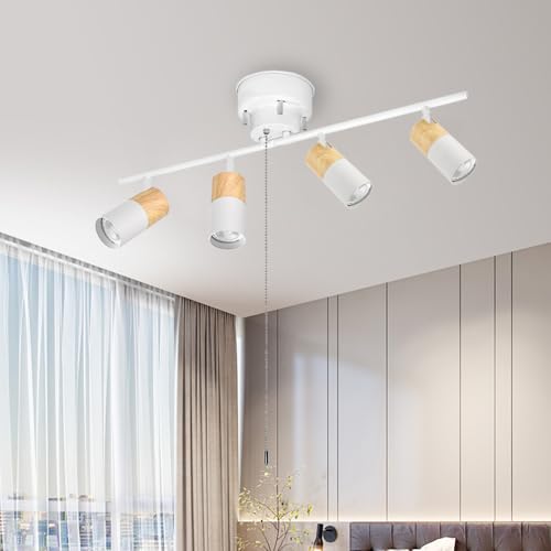 lG V[OCg 4 V[OX|bgCg VƖ  E26 240WΉ 100V vR[hXCb`t X`[+A~ ȃGl px߉ _CjO rO JtF X _ CeA Ɩ i^Cv 