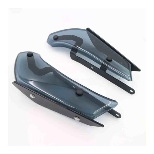 Spoilers aérodynamiques S1000RR aileron fixe fibre de carbone