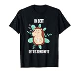 Igel Schlaf Gute Nacht