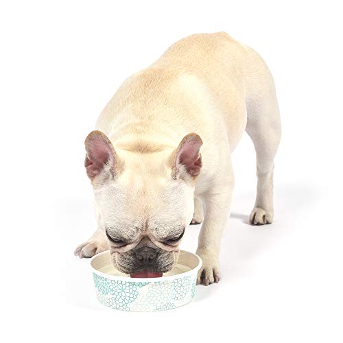 Arm & Hammer for Pets Fresh Spectrum Dental Water Additive for Dogs