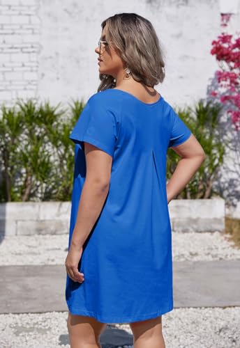 Image of Alaster Women's Casual Summer T Shirt Dress Loose Short Sleeve Tunic Dress with Pocket for Women