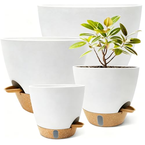 15 Best Pots For Indoor Plants (Buyers Guide)